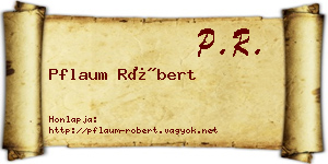 Pflaum Róbert névjegykártya